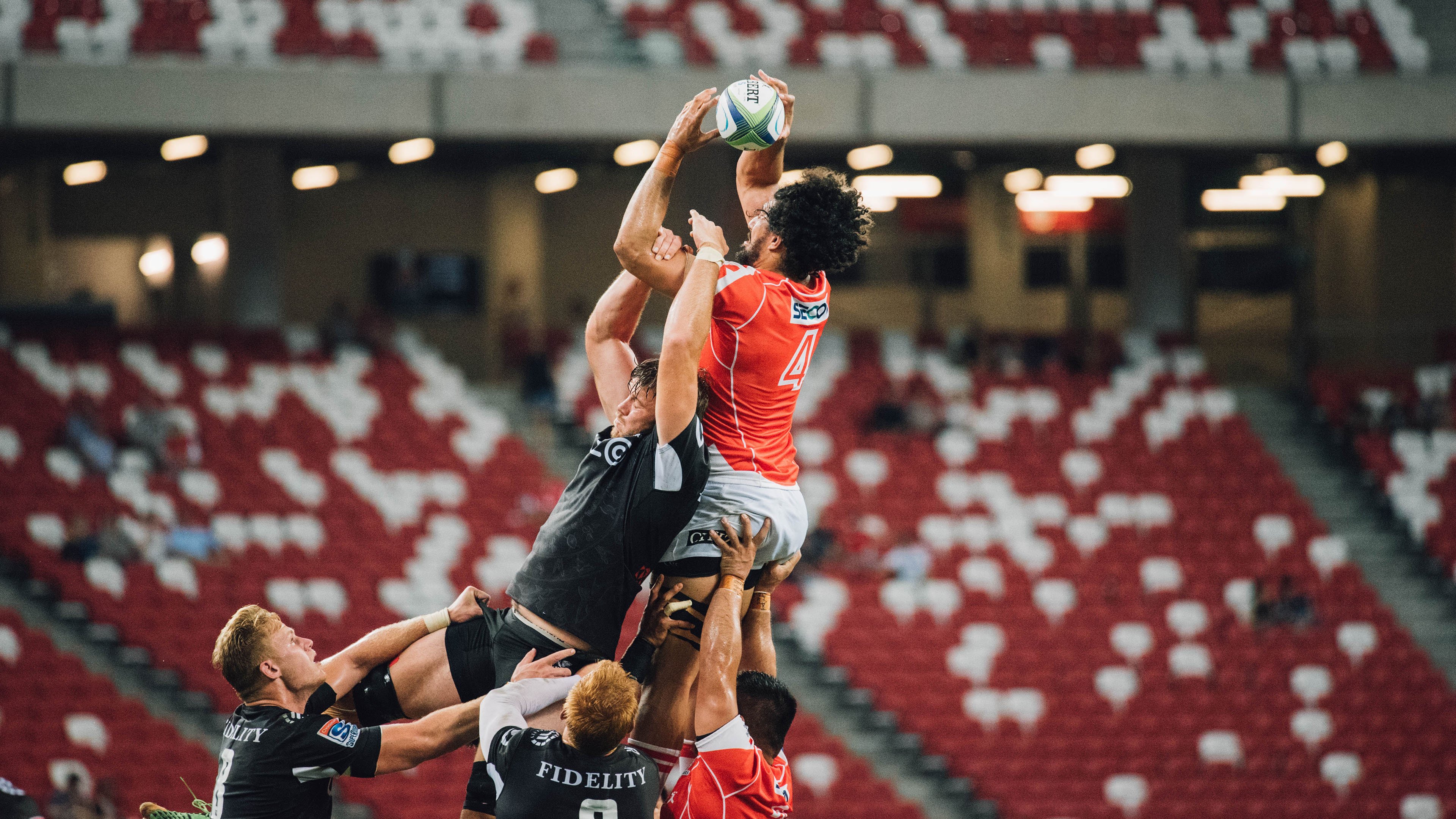 北京鸭引入外援锋线提升终结能力，北京鸭与其他鸭子的区别